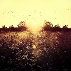 Meet your Posher, May